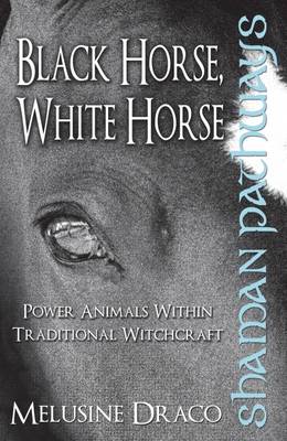 Book cover for Shaman Pathways - Black Horse, White Horse