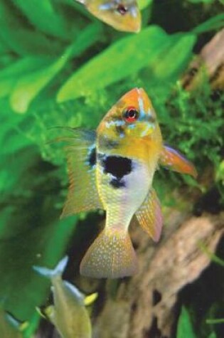 Cover of Mikrogeophagus Ramirezi Ram Cichlid Journal