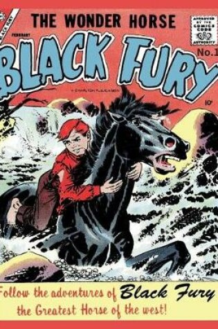 Cover of Black Fury # 12