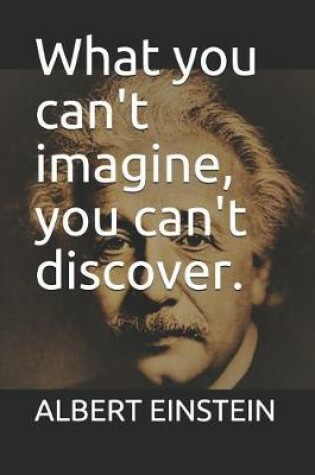 Cover of What you can't imagine, you can't discover.