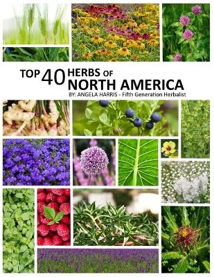 Book cover for Top 40 Herbs of North America