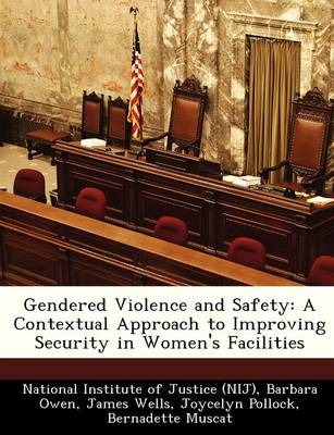 Book cover for Gendered Violence and Safety