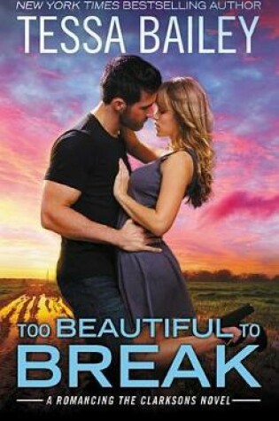 Cover of Too Beautiful to Break