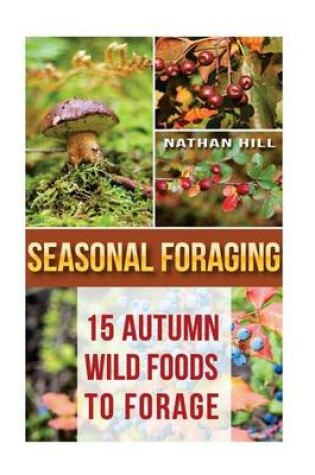 Cover of Seasonal Foraging