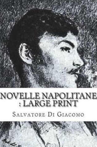 Cover of Novelle Napolitane