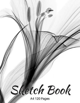 Book cover for A4 Sketch Book