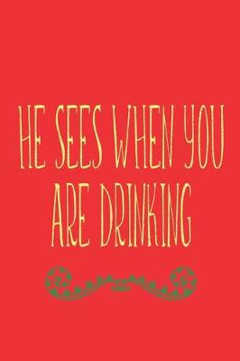 Book cover for He Sees When You Are Drinking