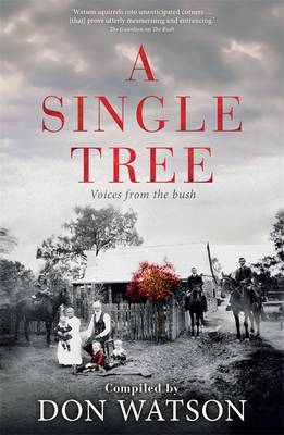 Book cover for A Single Tree