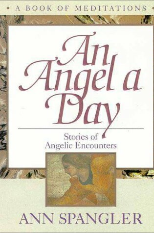 Cover of An Angel a Day