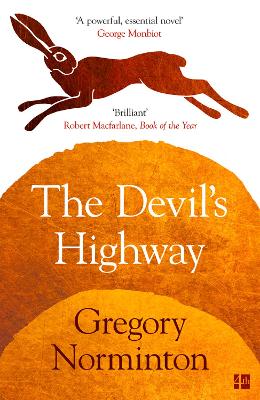 Book cover for The Devil’s Highway