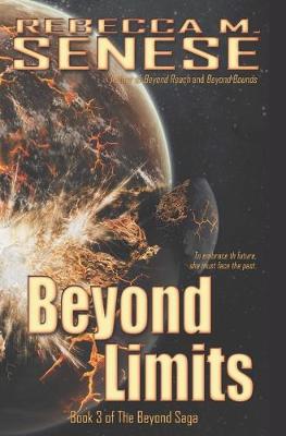 Book cover for Beyond Limits