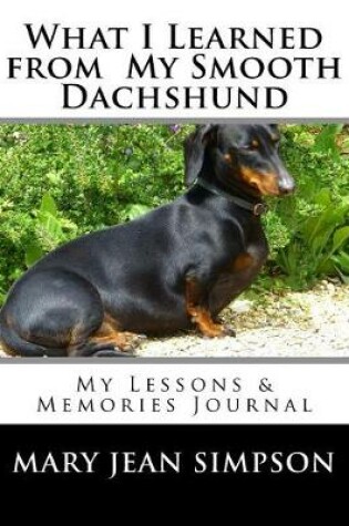 Cover of What I Learned from My Smooth Dachshund