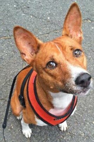 Cover of Cute Basenji on a Walk Journal