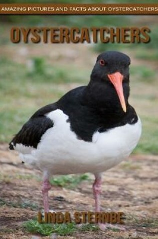 Cover of Oystercatchers