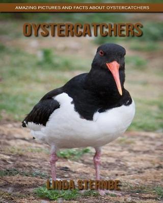Book cover for Oystercatchers