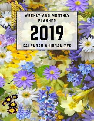 Book cover for Weekly and Monthly Planner 2019 Calendar & Organizer