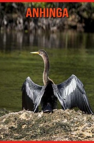 Cover of Anhinga