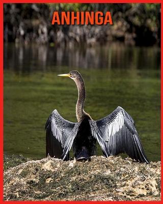 Book cover for Anhinga