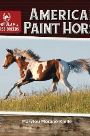 Cover of American Paint Horse