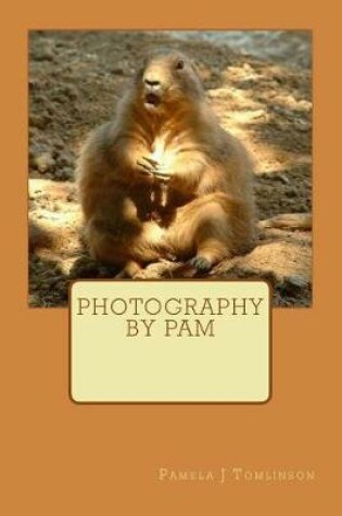 Cover of Photography by Pam