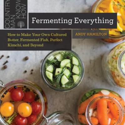 Book cover for Fermenting Everything
