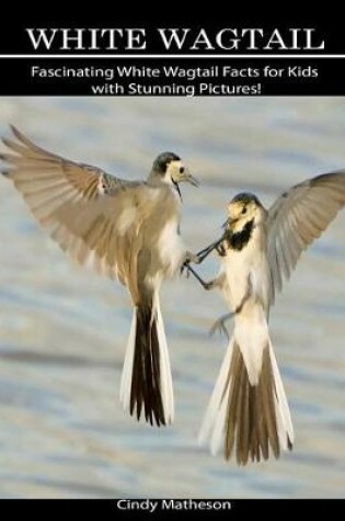 Cover of White Wagtail