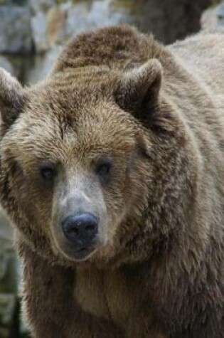 Cover of Staring Down a Brown Grizzly Bear Journal