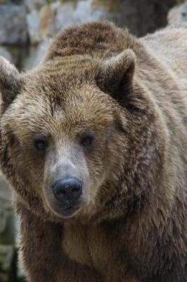 Book cover for Staring Down a Brown Grizzly Bear Journal