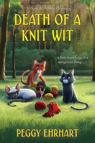 Cover of Death of a Knit Wit