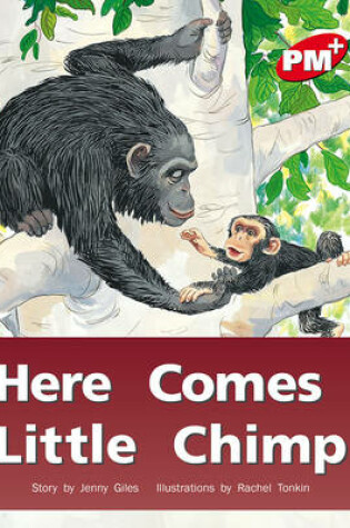 Cover of Here Comes Little Chimp