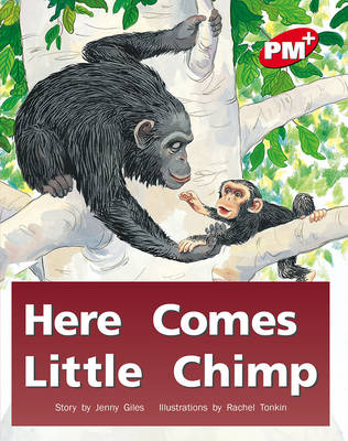 Book cover for Here Comes Little Chimp