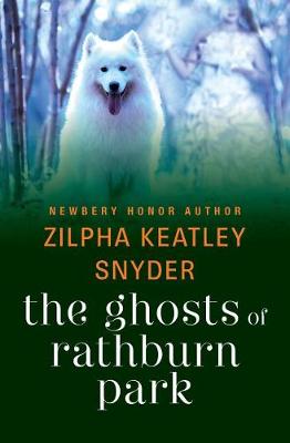 Book cover for The Ghosts of Rathburn Park