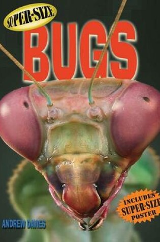 Cover of Super-Size Bugs