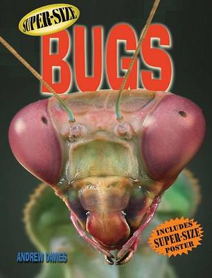 Book cover for Super-Size Bugs