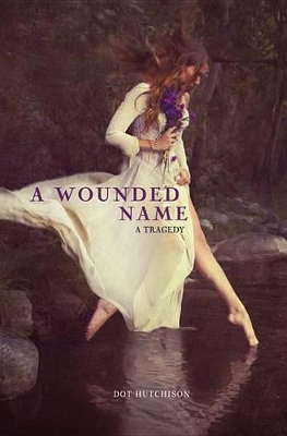 Book cover for A Wounded Name