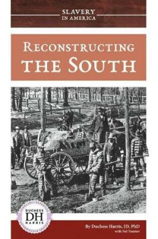 Cover of Reconstructing the South