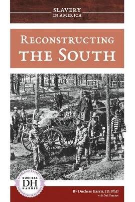 Book cover for Reconstructing the South