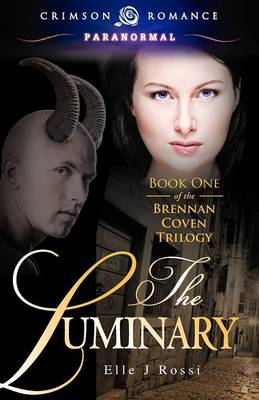 Book cover for The Luminary