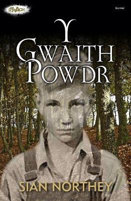 Book cover for Cyfres Strach: Y Gwaith Powdr