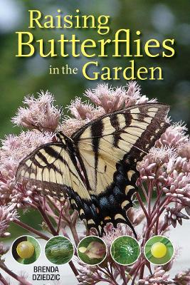 Book cover for Raising Butterflies in the Garden