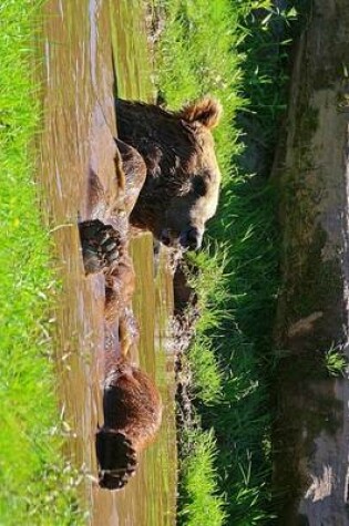 Cover of Brown Bear Taking a Bath in a Mud Puddle