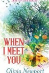 Book cover for When I Meet You
