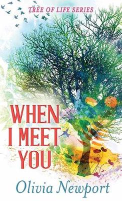 Cover of When I Meet You