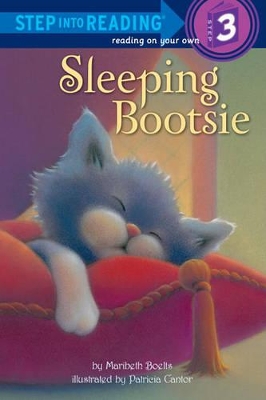 Book cover for Sleeping Bootsie