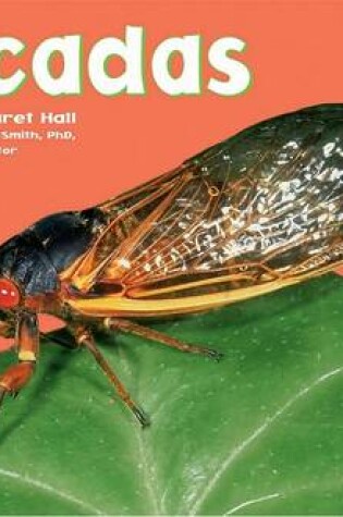 Cover of Cicadas