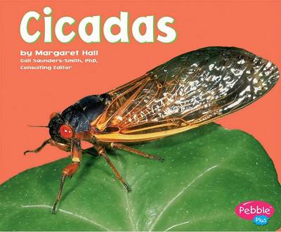 Book cover for Cicadas