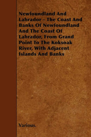 Cover of Newfoundland And Labrador - The Coast And Banks Of Newfoundland And The Coast Of Labrador, From Grand Point To The Koksoak River, With Adjacent Islands And Banks