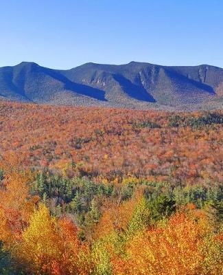 Cover of Mountain Peaks Evergreens Fall Foliage School Composition Book 130 Pages