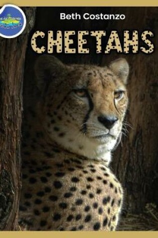 Cover of Cheetah Activity Workbook ages 4-8