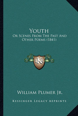 Book cover for Youth Youth